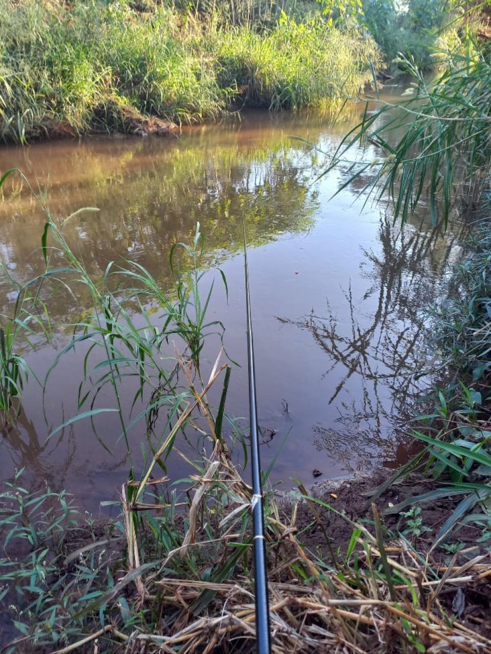 Chácara para venda no bairro Casa do Lago de Paiçandu - Foto 17