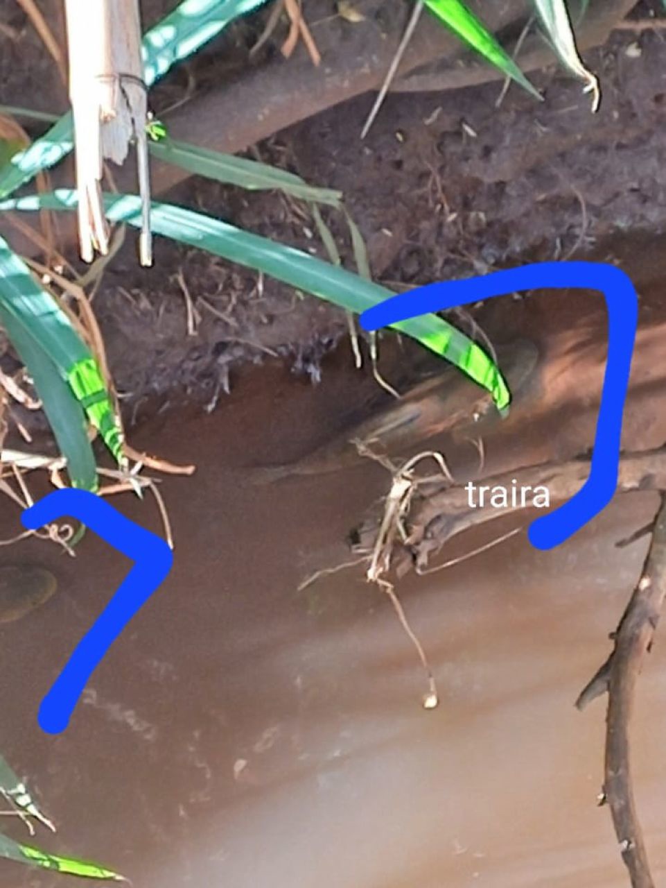 Chácara para venda no bairro Casa do Lago de Paiçandu - Foto 18