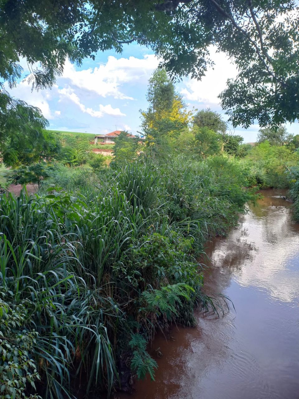 Chácara para venda no bairro Casa do Lago de Paiçandu - Foto 19