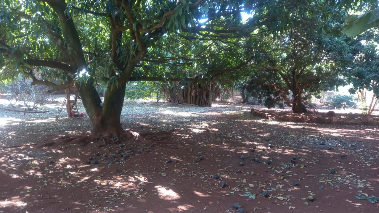 Chácara para venda no bairro Km 130 de Maringá - Foto 19