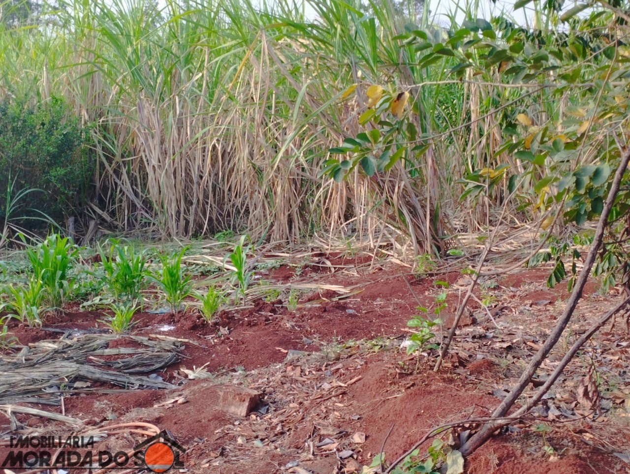 Chácara para venda no bairro Parque Industrial 200 de Maringá - Foto 11