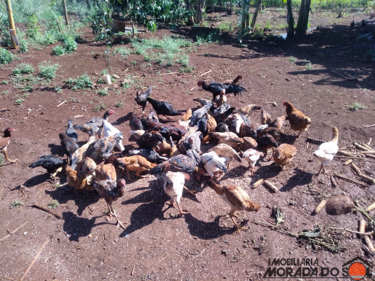 Terreno para venda no bairro Zona Rural de Doutor Camargo - Foto 10