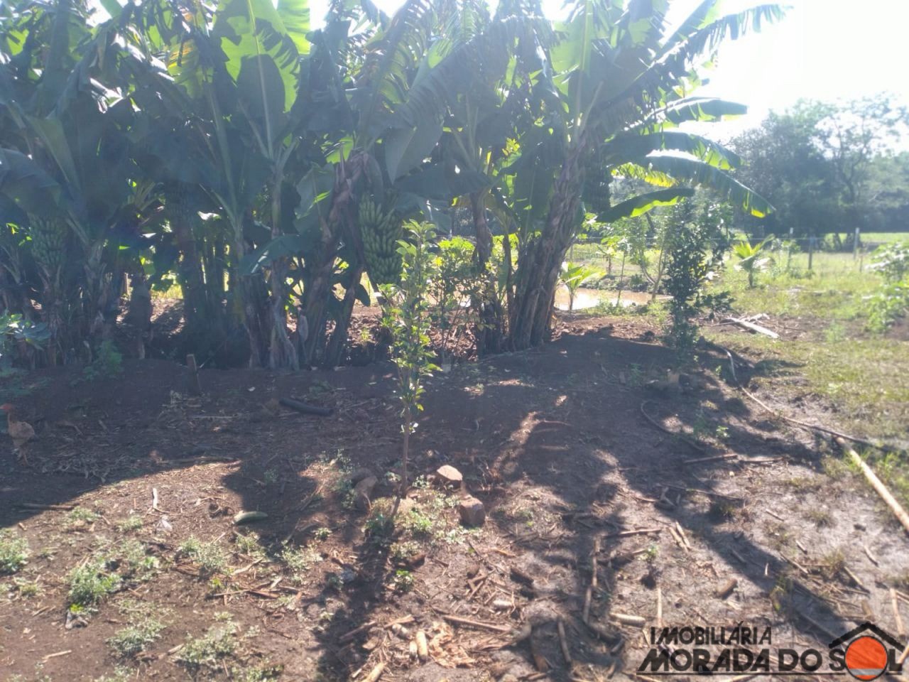 Terreno para venda no bairro Zona Rural de Doutor Camargo - Foto 11