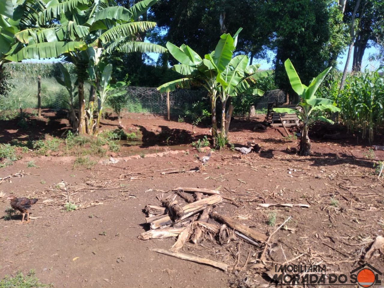 Terreno para venda no bairro Zona Rural de Doutor Camargo - Foto 12
