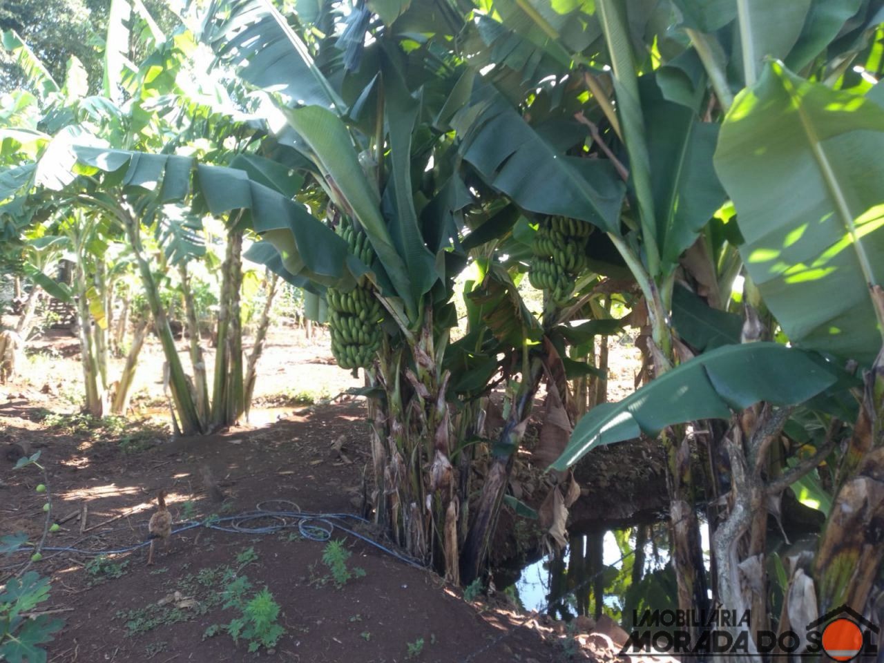 Terreno para venda no bairro Zona Rural de Doutor Camargo - Foto 14