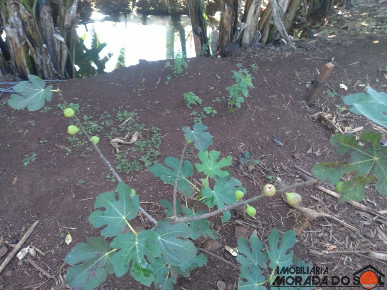 Terreno para venda no bairro Zona Rural de Doutor Camargo - Foto 16
