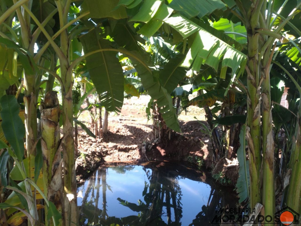 Terreno para venda no bairro Zona Rural de Doutor Camargo - Foto 19
