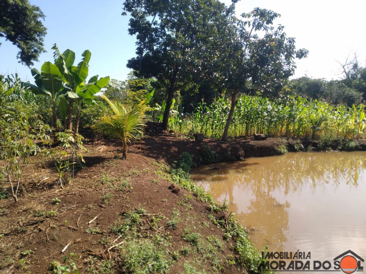 Terreno para venda no bairro Zona Rural de Doutor Camargo - Foto 21