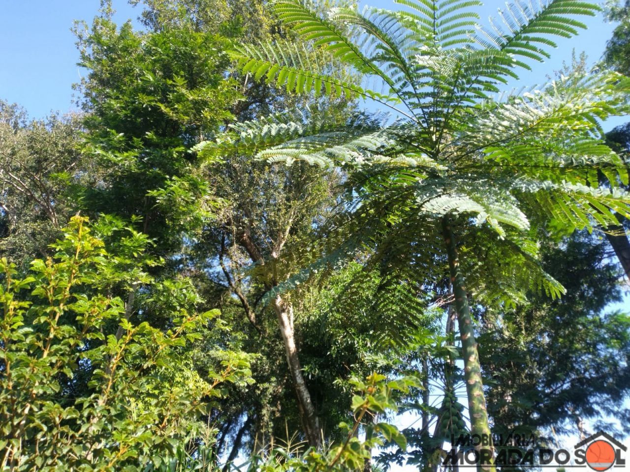 Terreno para venda no bairro Zona Rural de Doutor Camargo - Foto 23