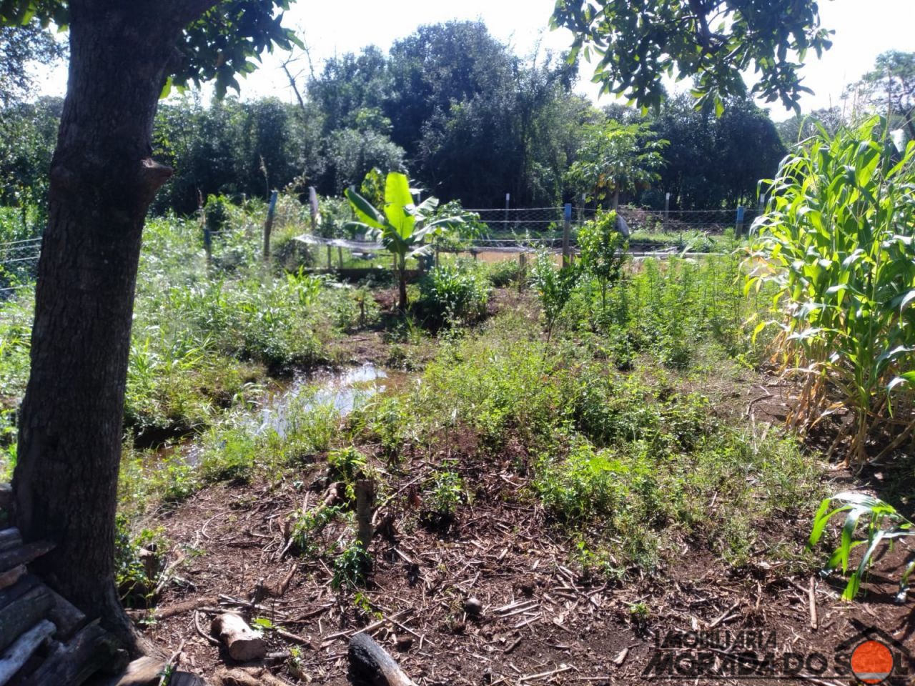 Terreno para venda no bairro Zona Rural de Doutor Camargo - Foto 24
