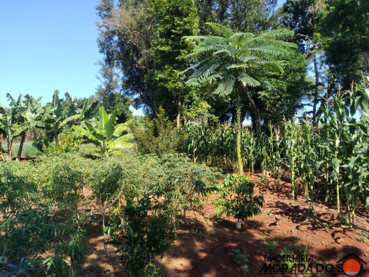 Terreno para venda no bairro Zona Rural de Doutor Camargo - Foto 25