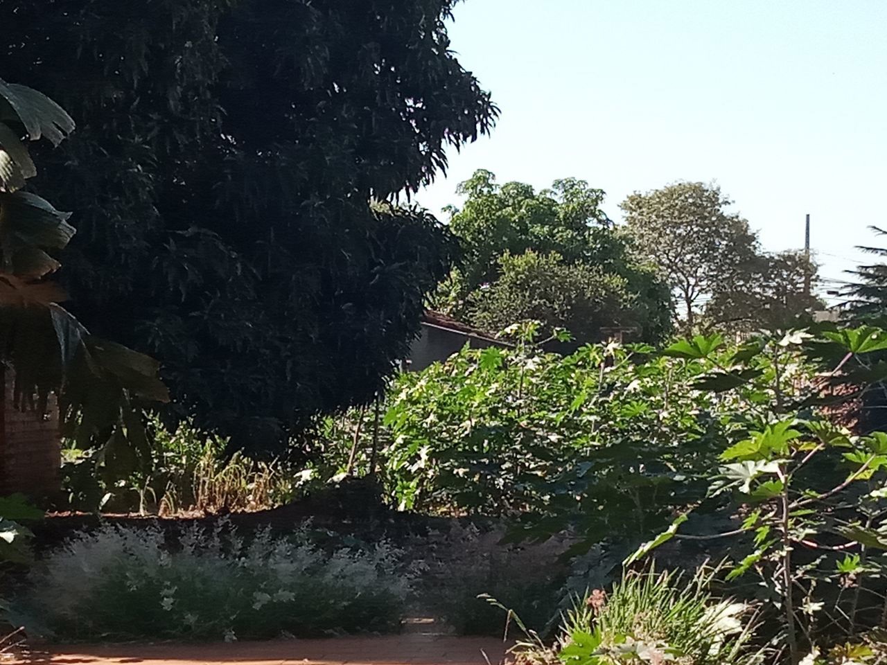 Casa Residencial para venda no bairro Vila Santo Antonio de Maringá - Foto 7