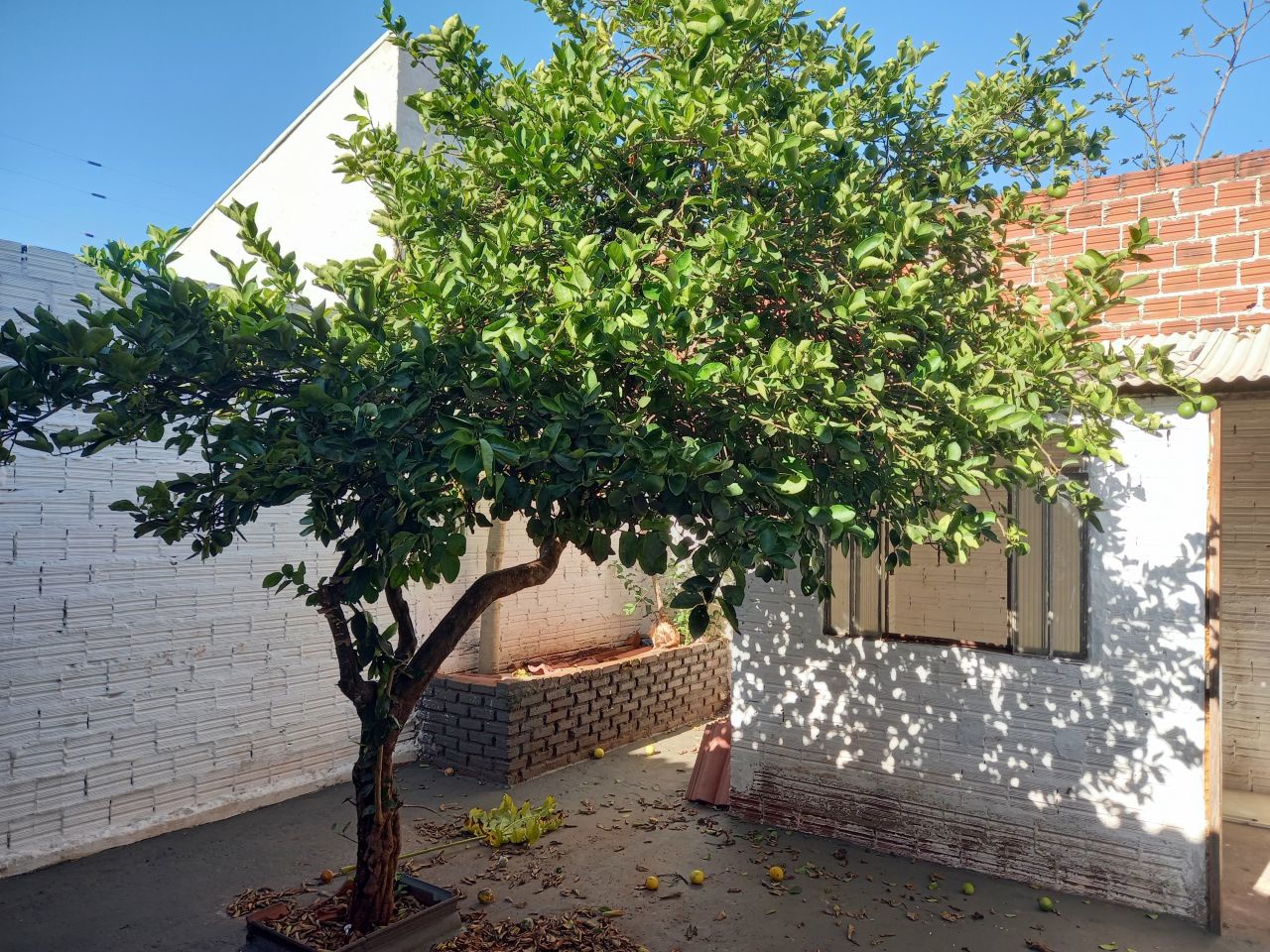 Casa Residencial para venda no bairro Jardim Nova Independência I de Sarandi - Foto 17