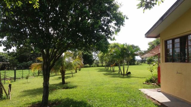 Sítio Rural para venda no bairro Estrada Santa Fé de Iguaraçu - Foto 5