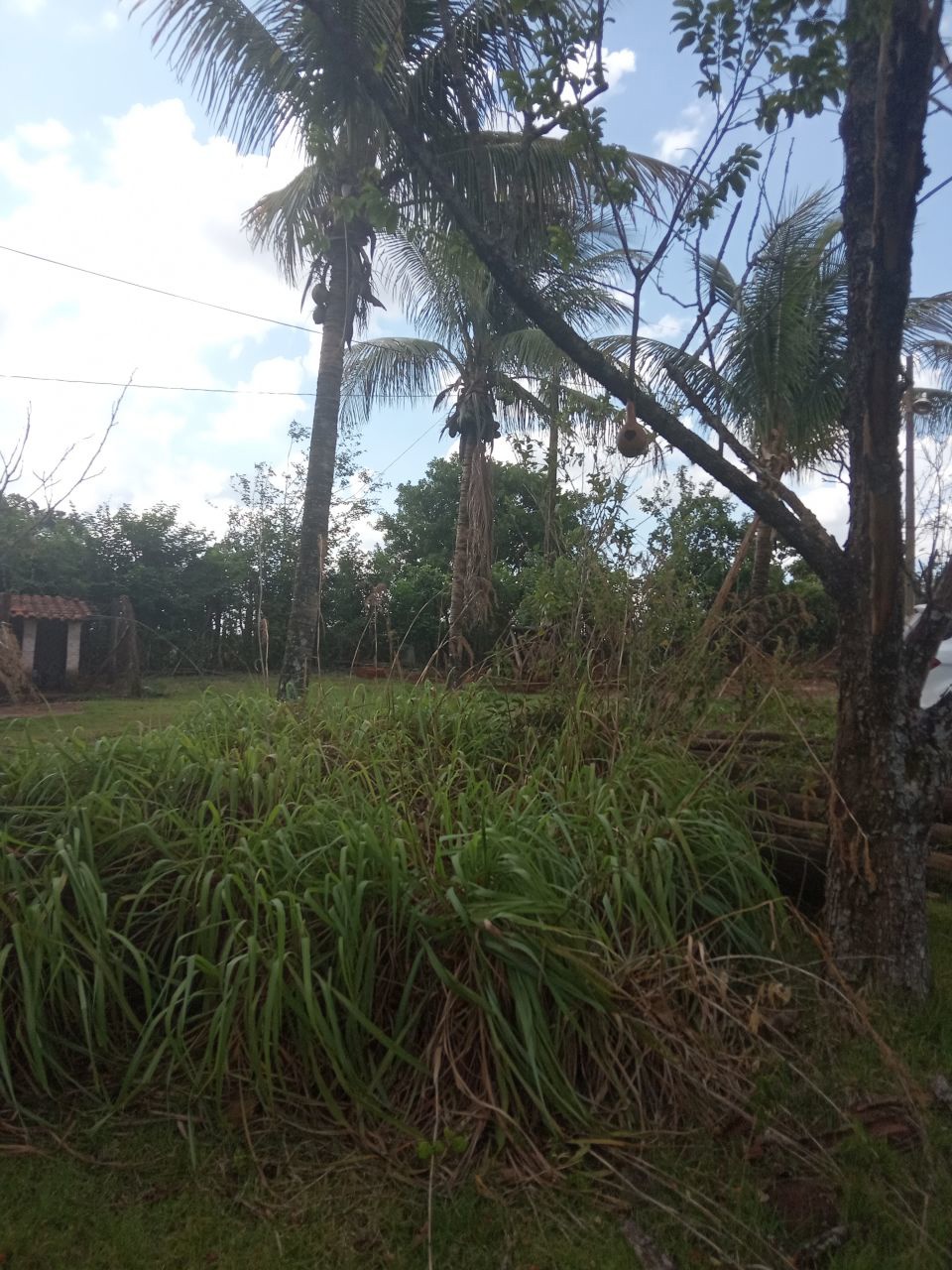Chácara para venda no bairro Conjunto Residencial Santa Terezinh de Maringá - Foto 19