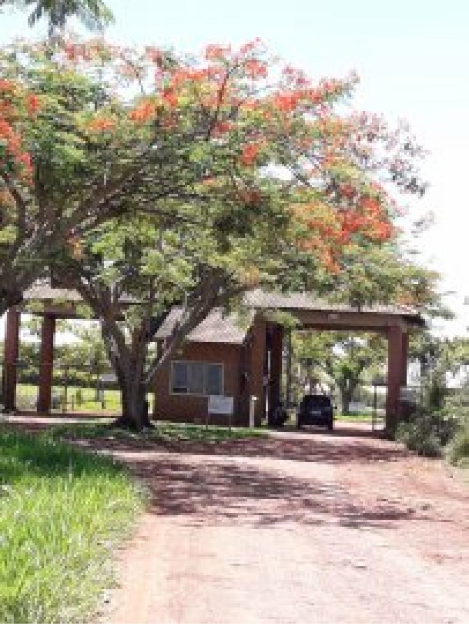 Chácara para venda no Estância Favoreto em Sertanópolis com 0m² por R$ 330.000,00