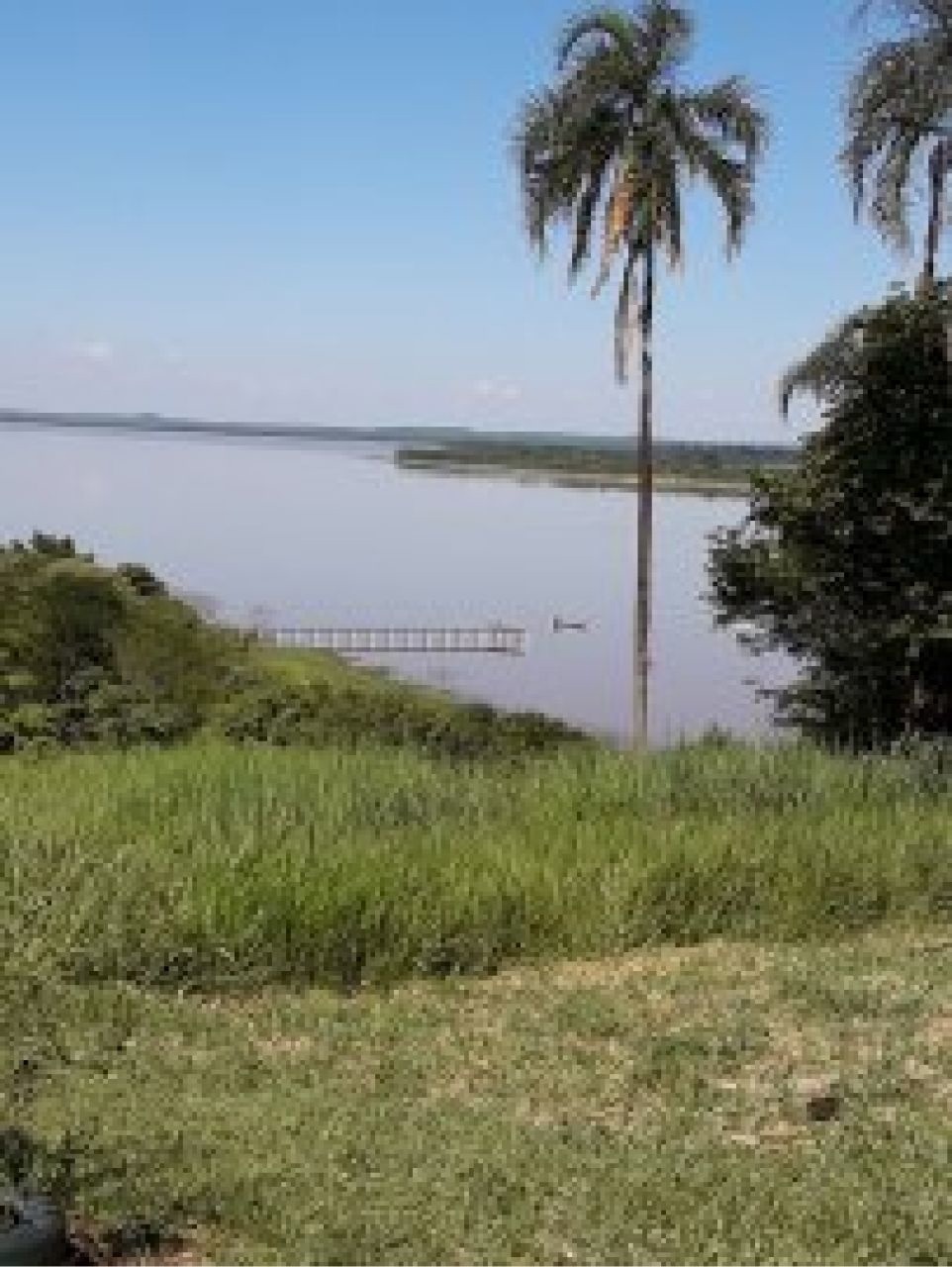 Chácara para venda no Estância Favoreto em Sertanópolis com 0m² por R$ 330.000,00