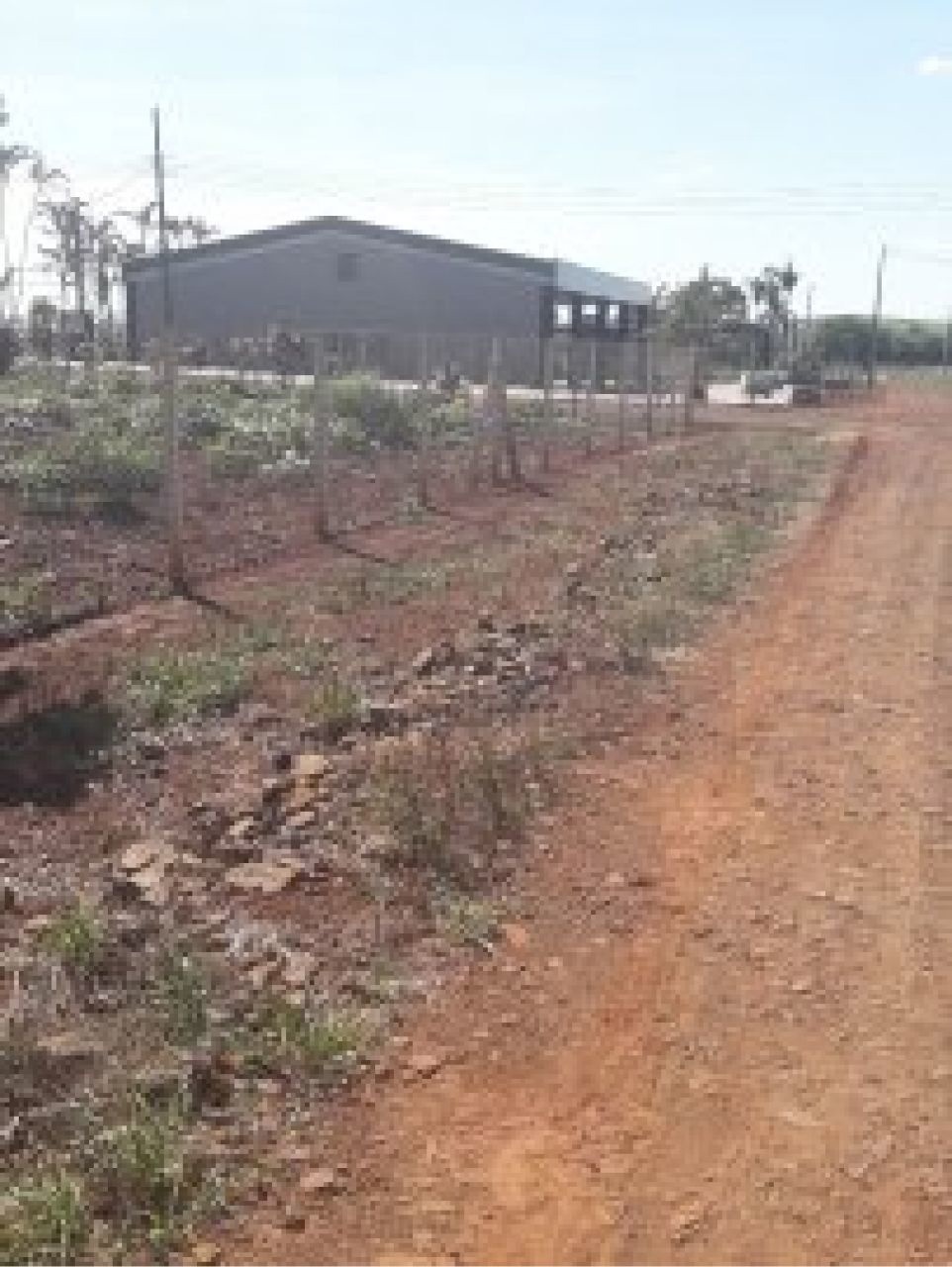 Chácara para venda no bairro Estância Favoreto de Sertanópolis - Foto 6