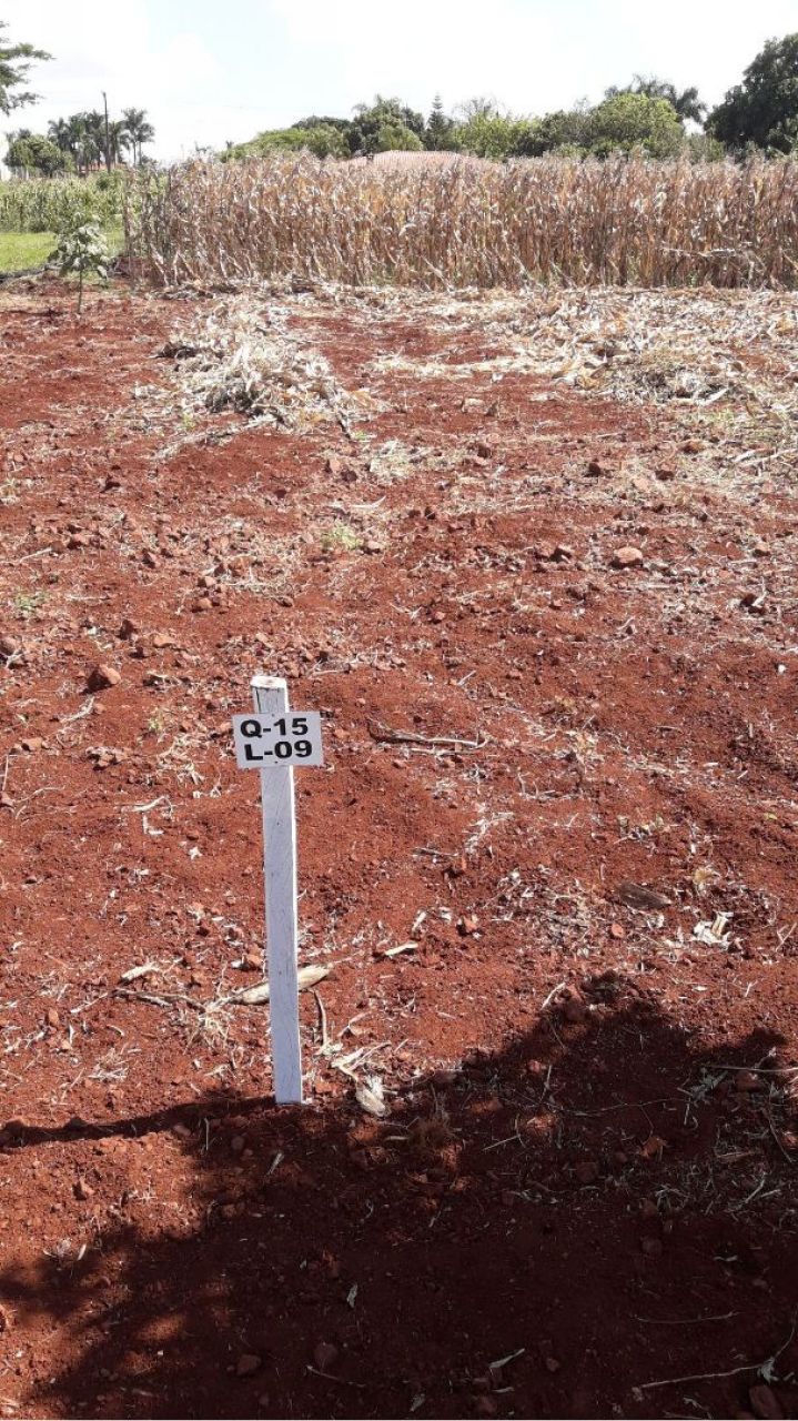 Chácara para venda no bairro Estância Favoreto de Sertanópolis - Foto 8