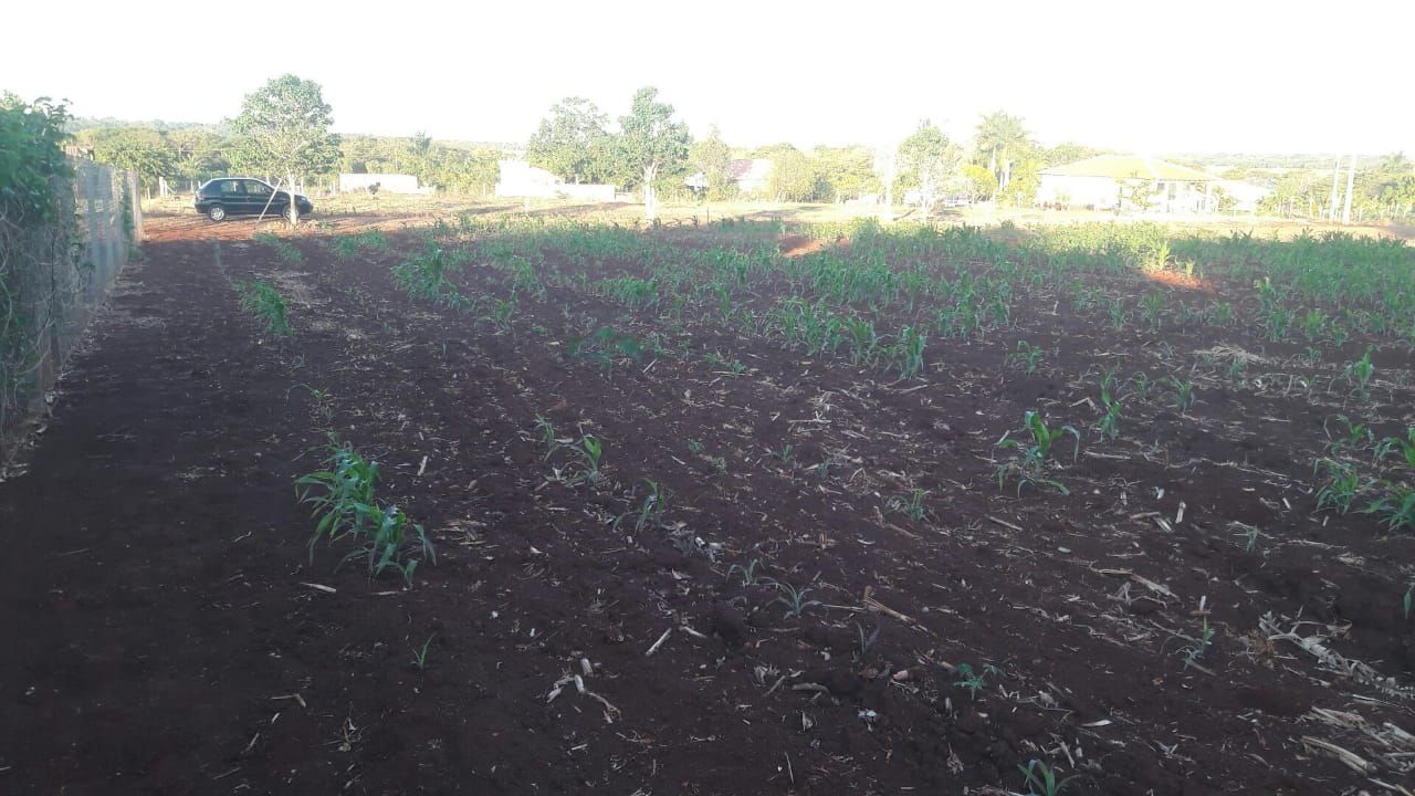 Chácara para venda no bairro Estância Favoreto de Sertanópolis - Foto 14