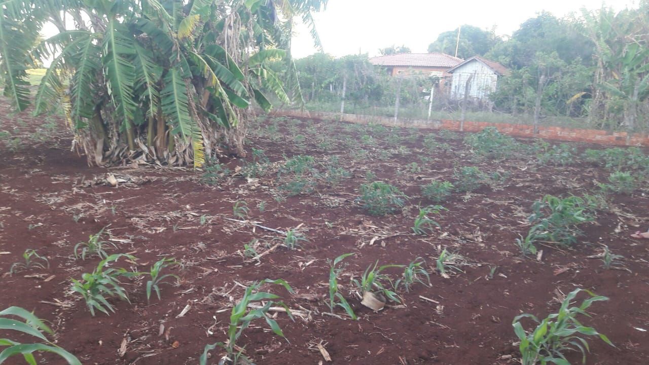 Chácara para venda no bairro Estância Favoreto de Sertanópolis - Foto 15