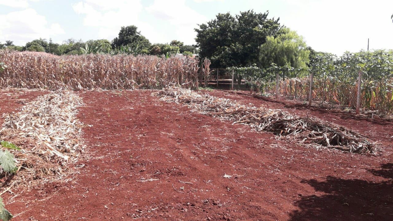 Chácara para venda no bairro Estância Favoreto de Sertanópolis - Foto 16