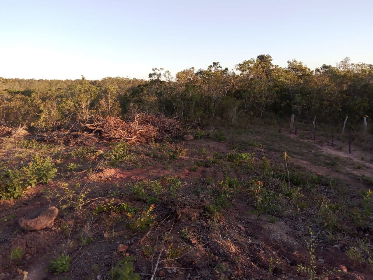 Fazenda para venda no Altos da Chapada em Santa Filomena com 10m² por R$ 1.500.000,00