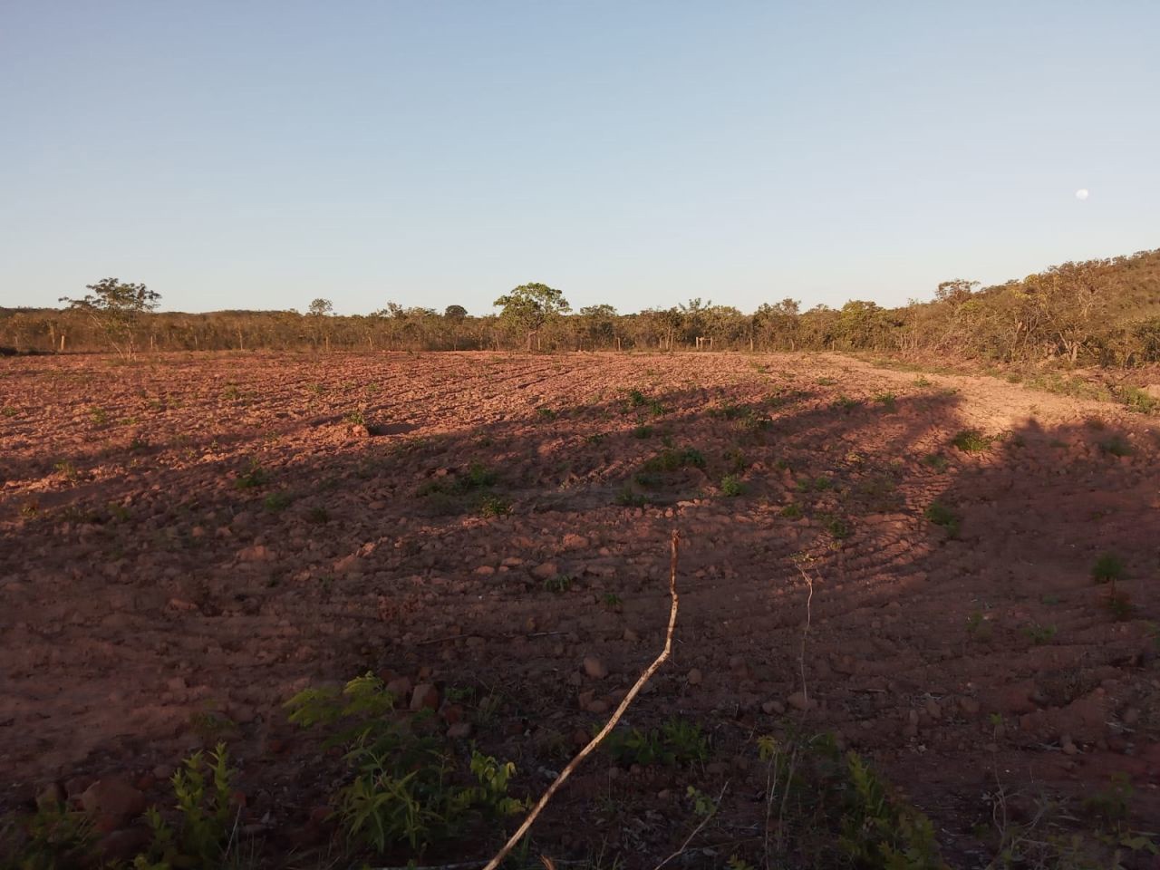 Fazenda para venda no bairro Altos da Chapada de Santa Filomena - Foto 4