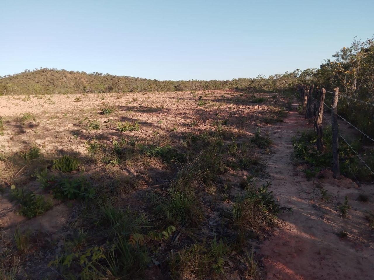 Fazenda para venda no bairro Altos da Chapada de Santa Filomena - Foto 7