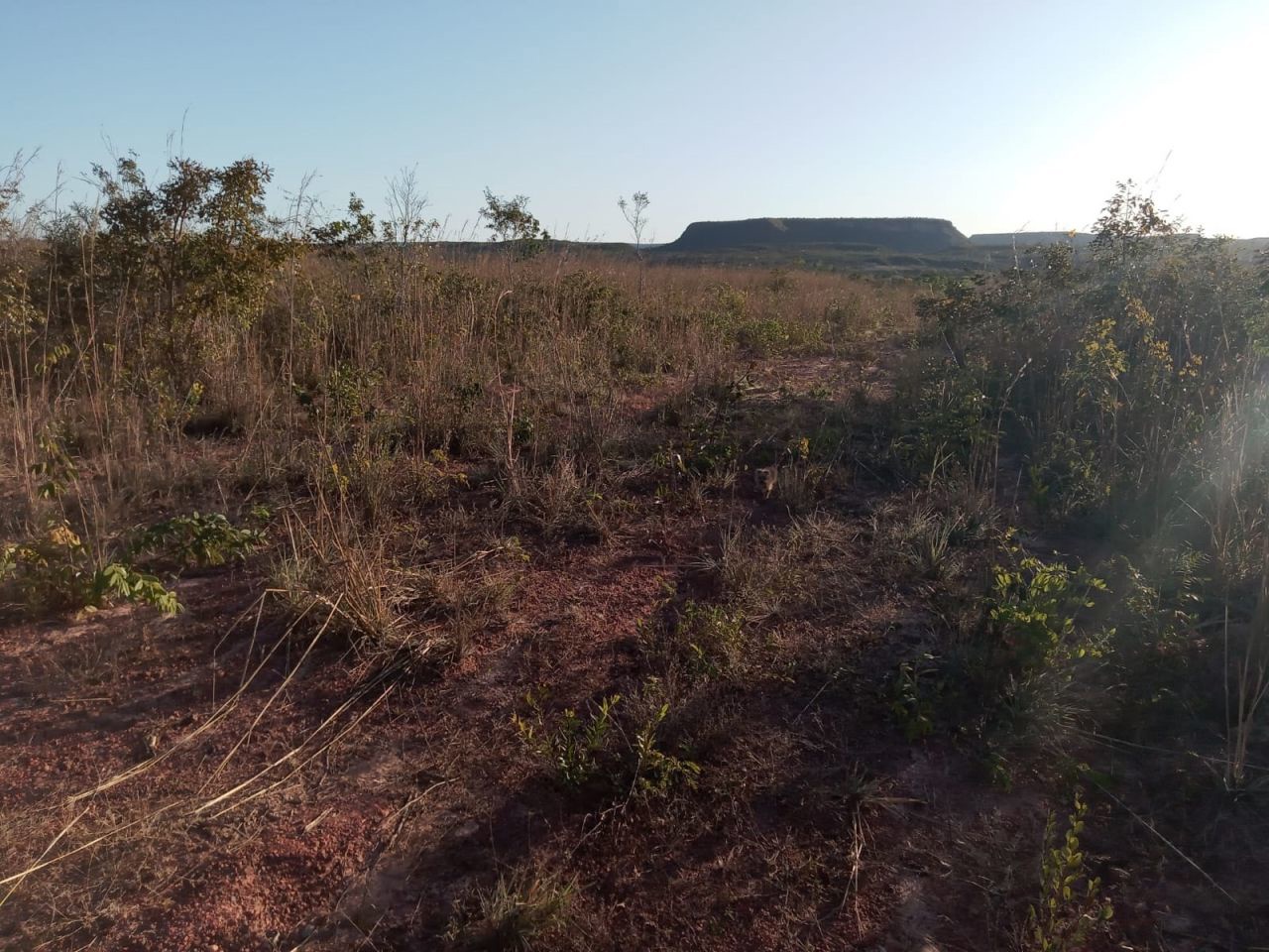 Fazenda para venda no bairro Altos da Chapada de Santa Filomena - Foto 8