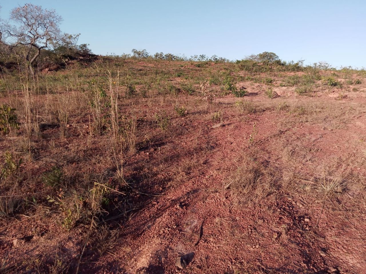 Fazenda para venda no bairro Altos da Chapada de Santa Filomena - Foto 9
