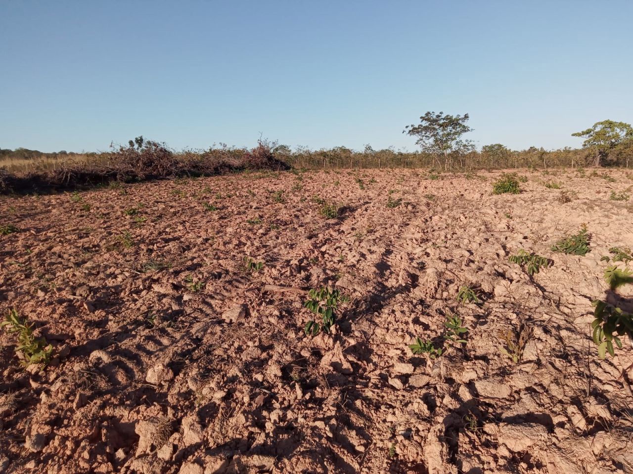Fazenda para venda no bairro Altos da Chapada de Santa Filomena - Foto 10