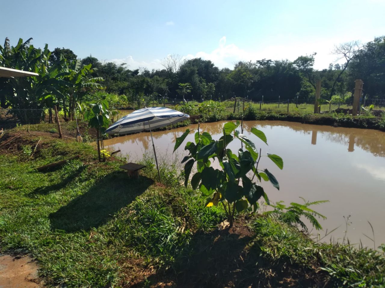 Chácara para venda no Novo Parque Alvorada em Doutor Camargo com 3.000m² por R$ 460.000,00