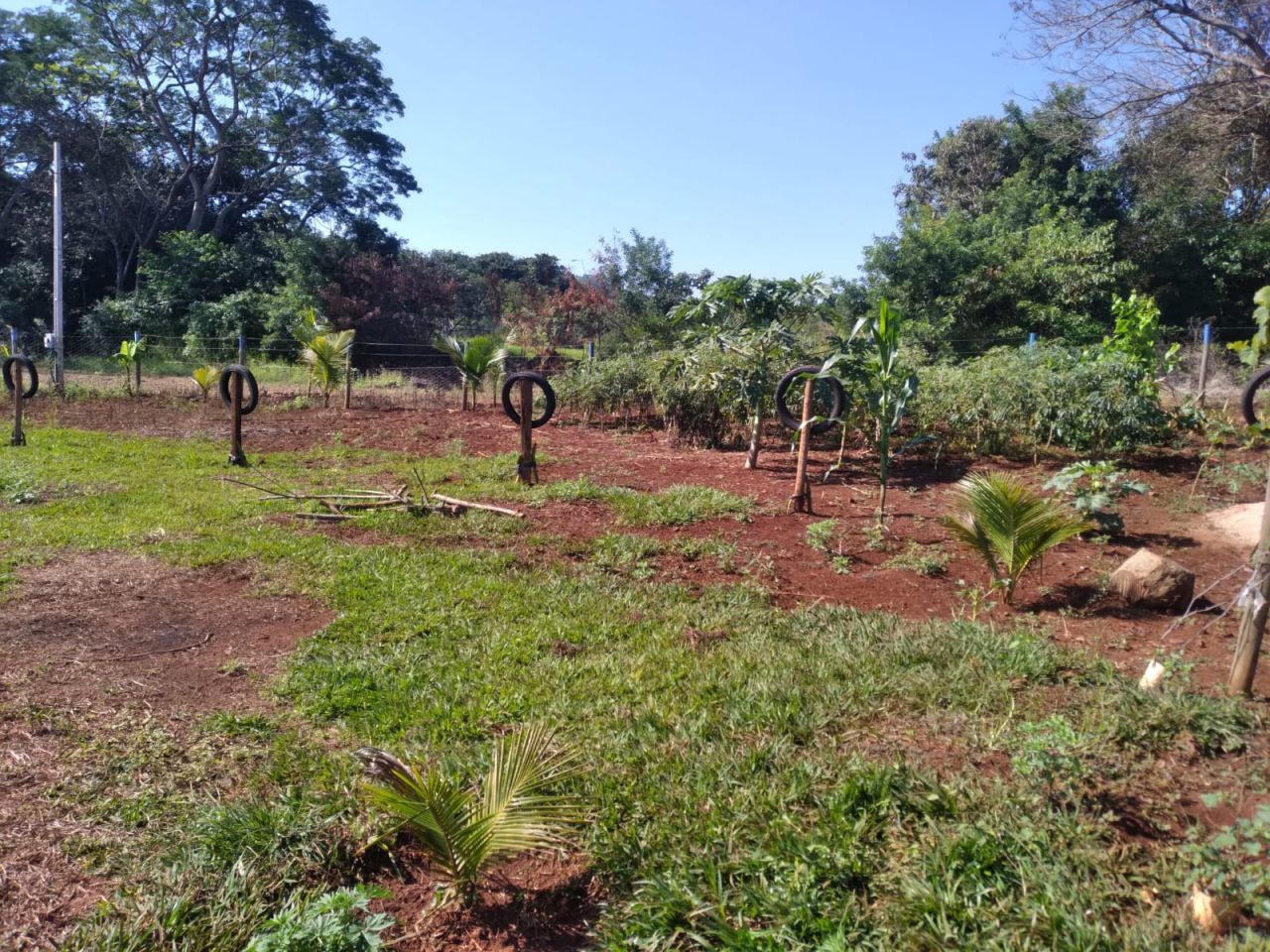Chácara para venda no Novo Parque Alvorada em Doutor Camargo com 3.000m² por R$ 460.000,00