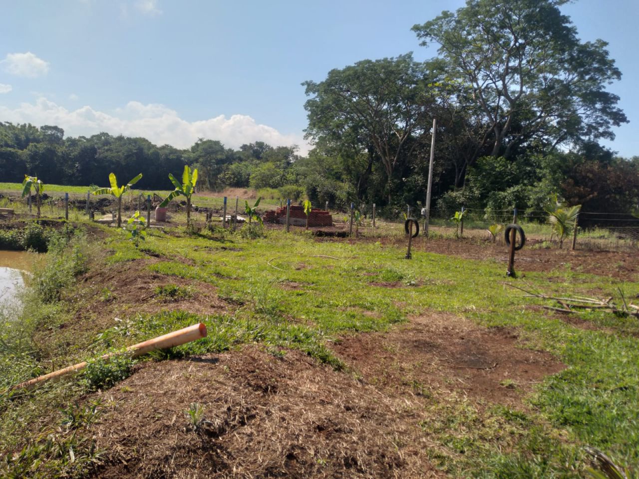 Chácara para venda no Novo Parque Alvorada em Doutor Camargo com 3.000m² por R$ 460.000,00