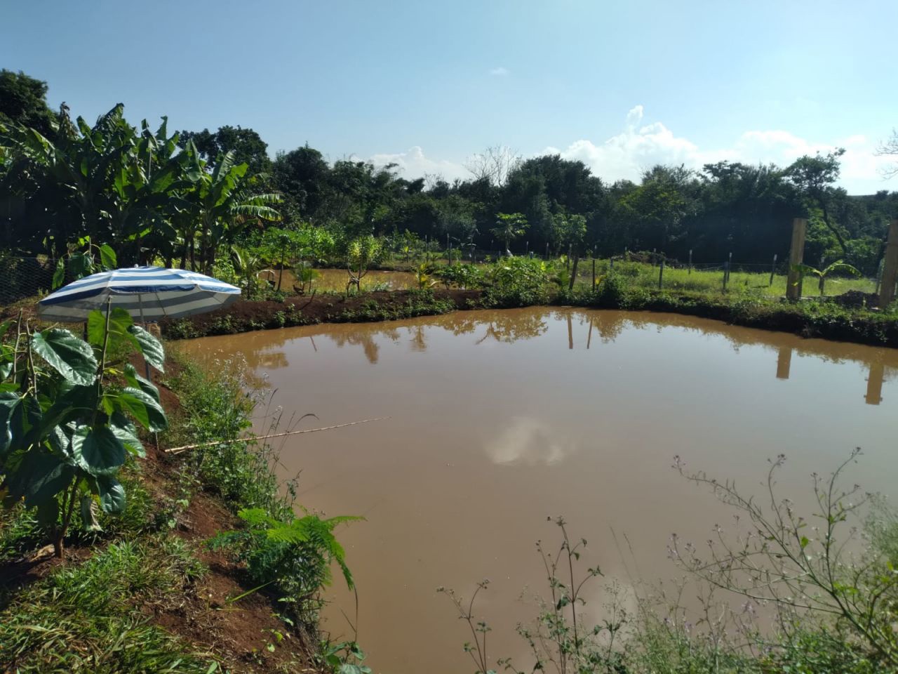 Chácara para venda no bairro Novo Parque Alvorada de Doutor Camargo - Foto 4