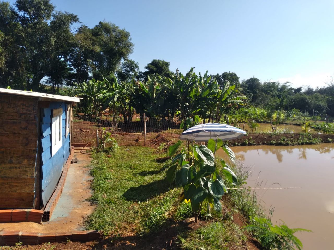 Chácara para venda no bairro Novo Parque Alvorada de Doutor Camargo - Foto 5