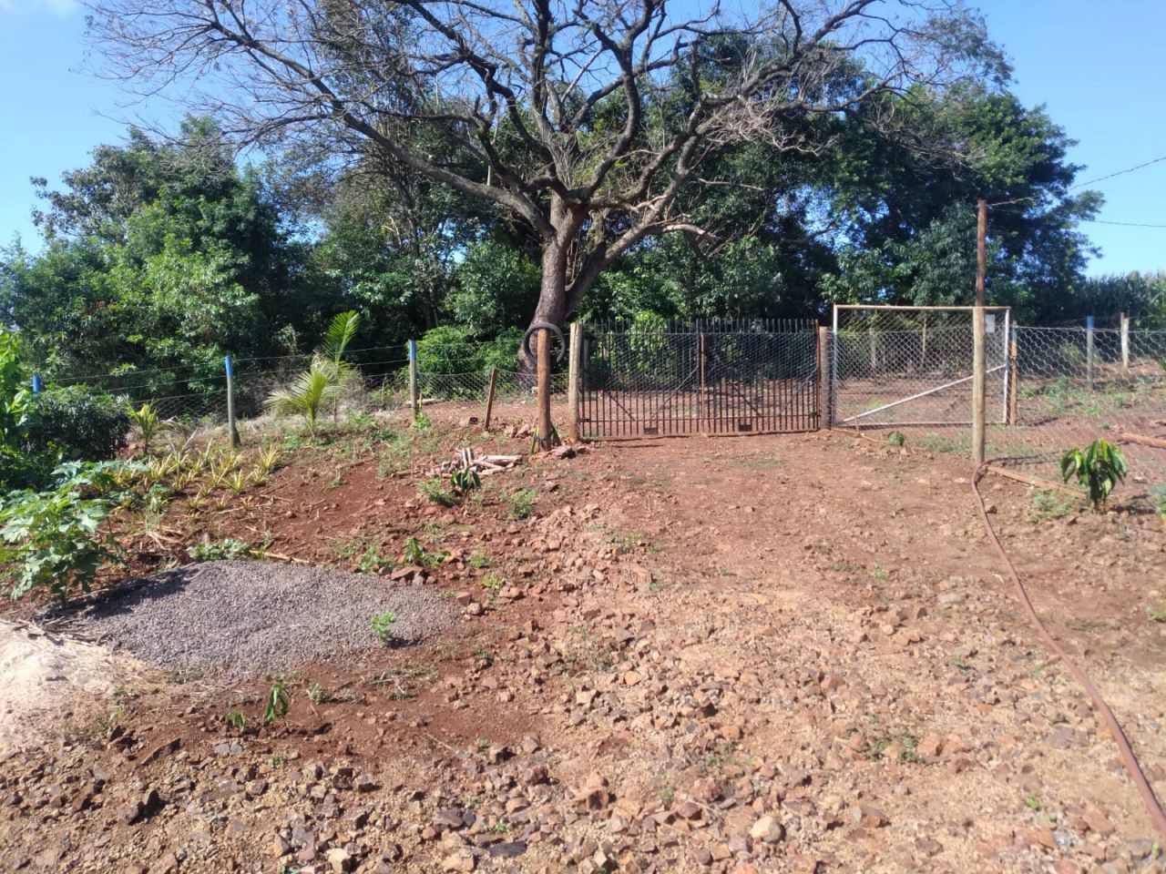 Chácara para venda no bairro Novo Parque Alvorada de Doutor Camargo - Foto 6