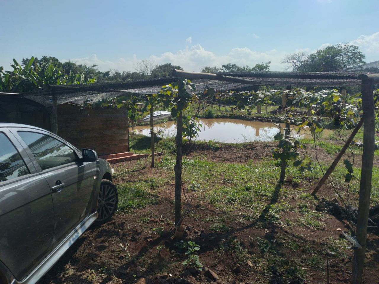 Chácara para venda no bairro Novo Parque Alvorada de Doutor Camargo - Foto 7