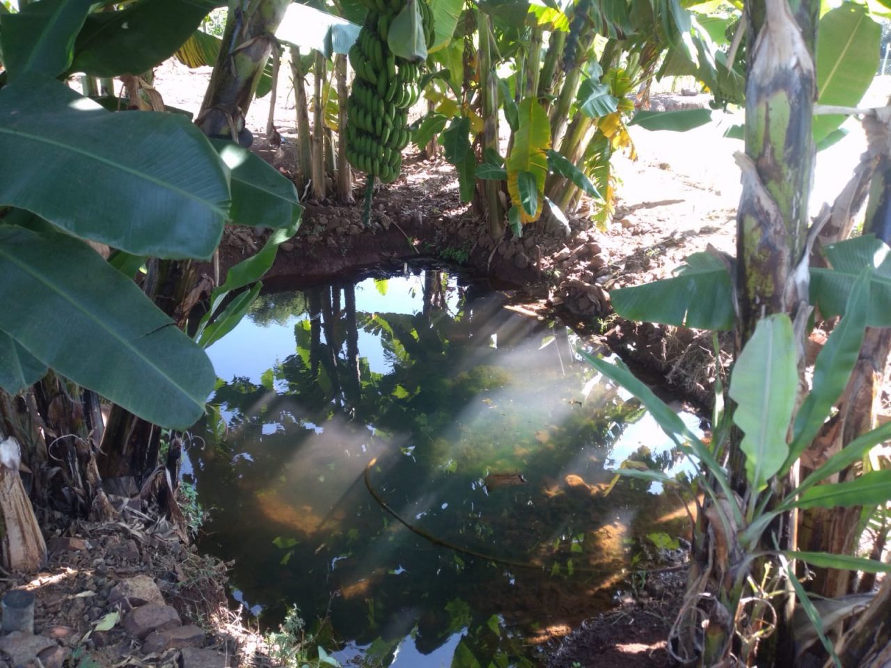 Chácara para venda no bairro Novo Parque Alvorada de Doutor Camargo - Foto 13