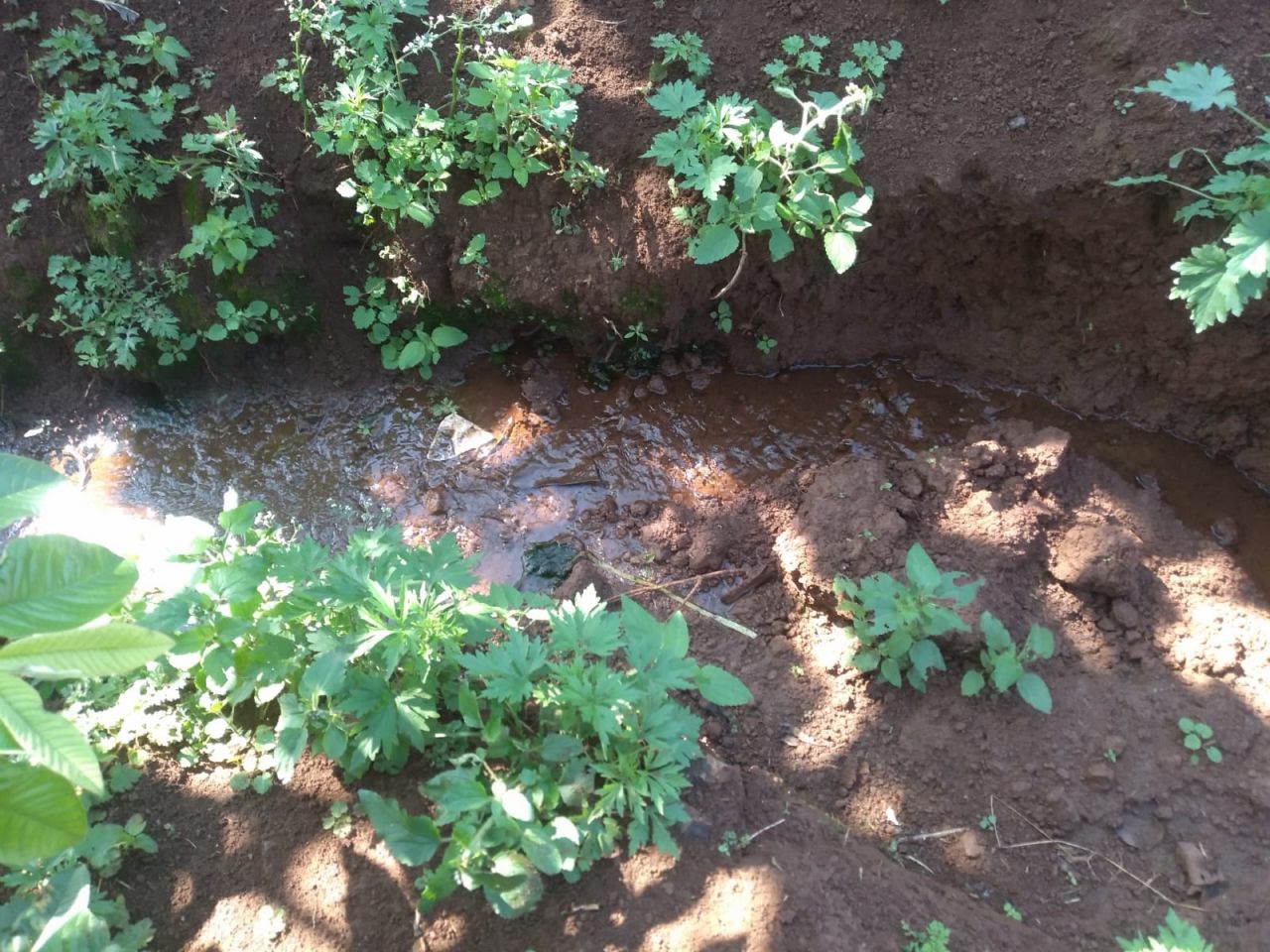 Chácara para venda no bairro Novo Parque Alvorada de Doutor Camargo - Foto 16
