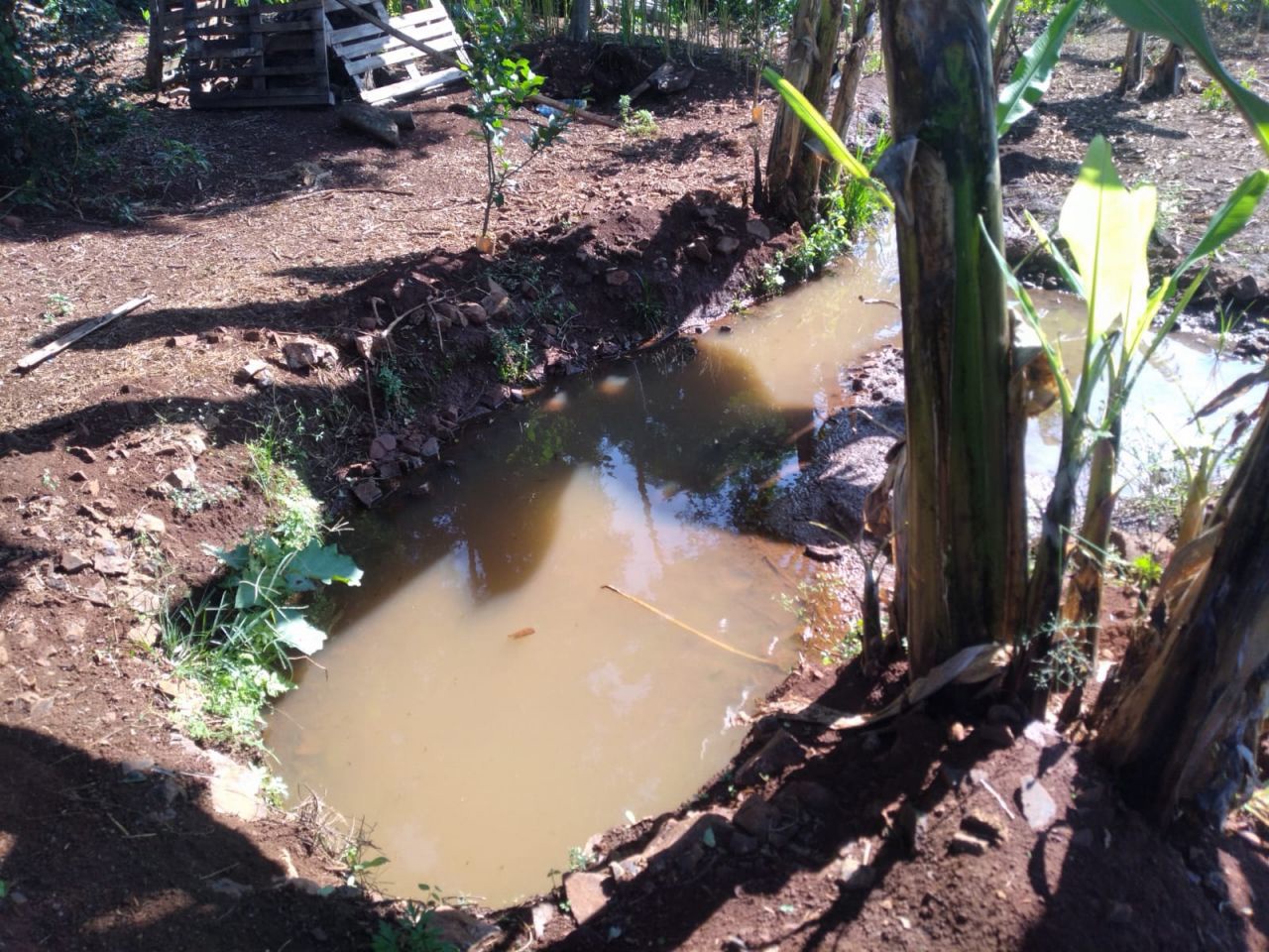 Chácara para venda no bairro Novo Parque Alvorada de Doutor Camargo - Foto 17