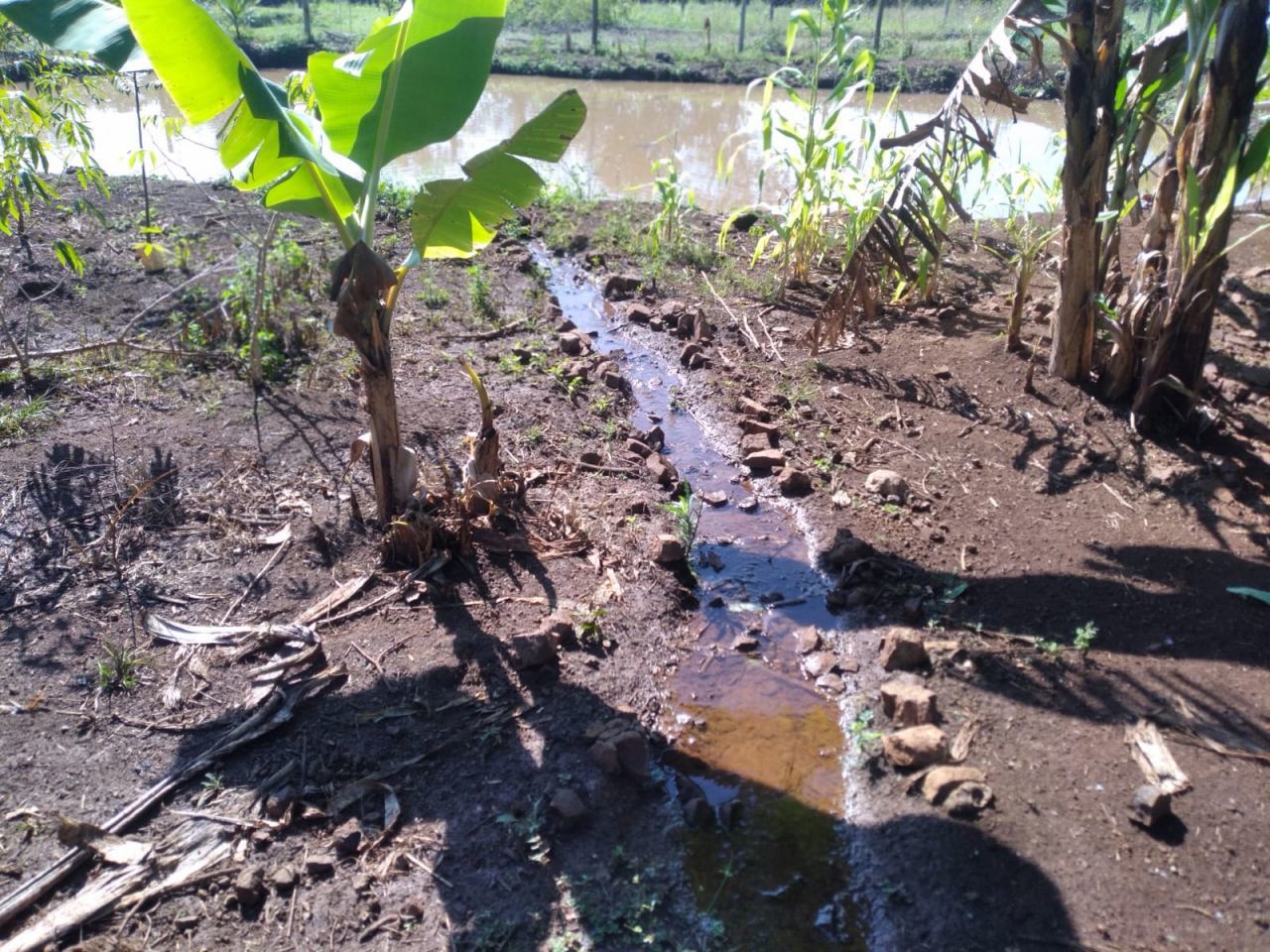 Chácara para venda no bairro Novo Parque Alvorada de Doutor Camargo - Foto 18