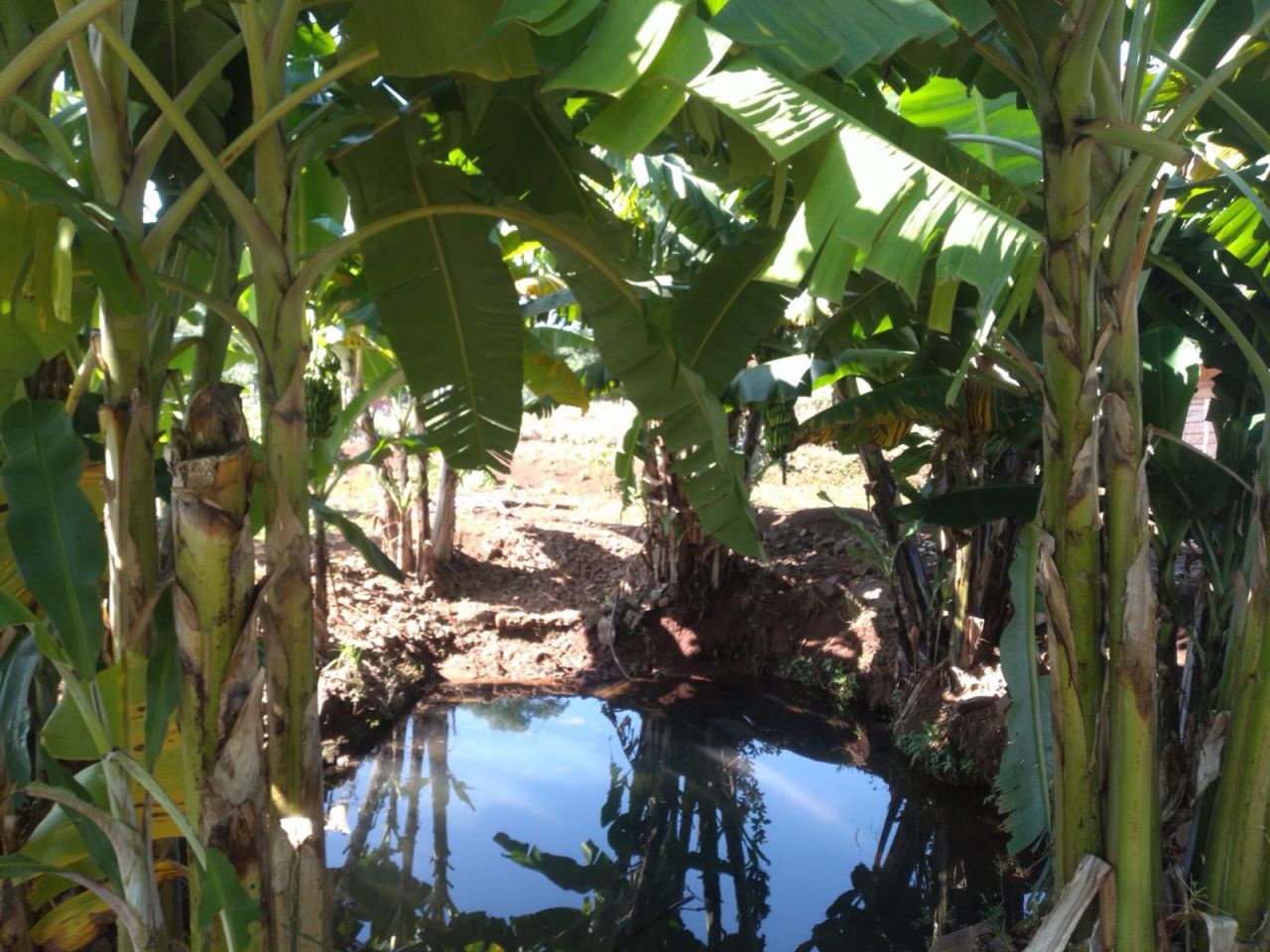 Chácara para venda no bairro Novo Parque Alvorada de Doutor Camargo - Foto 19