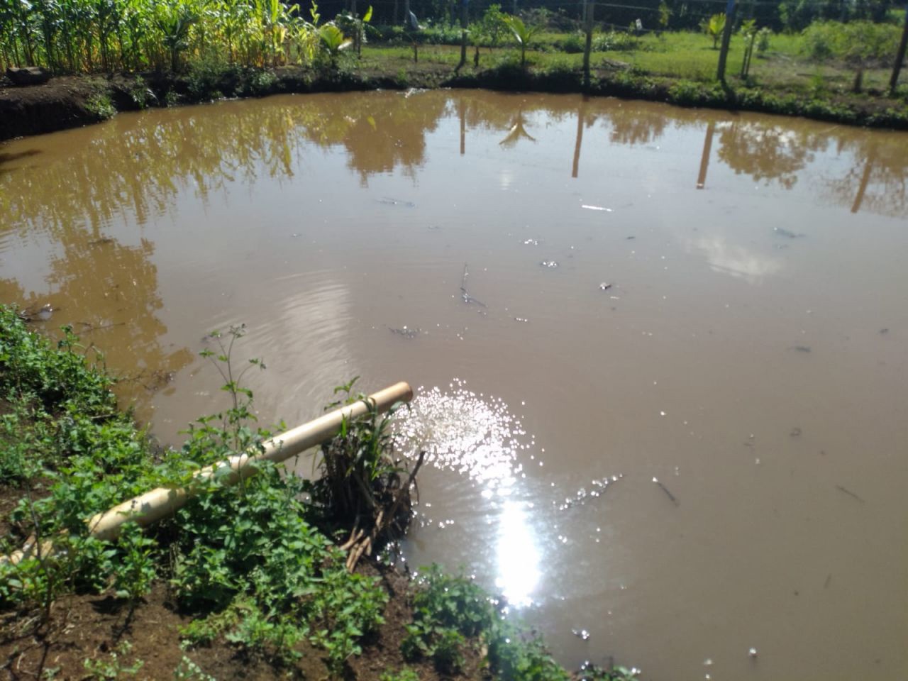 Chácara para venda no bairro Novo Parque Alvorada de Doutor Camargo - Foto 20
