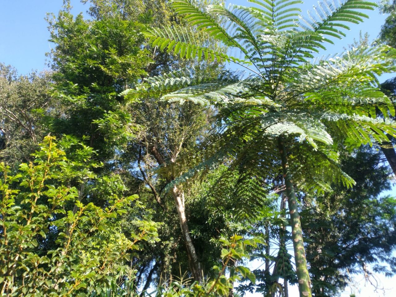 Chácara para venda no bairro Novo Parque Alvorada de Doutor Camargo - Foto 24