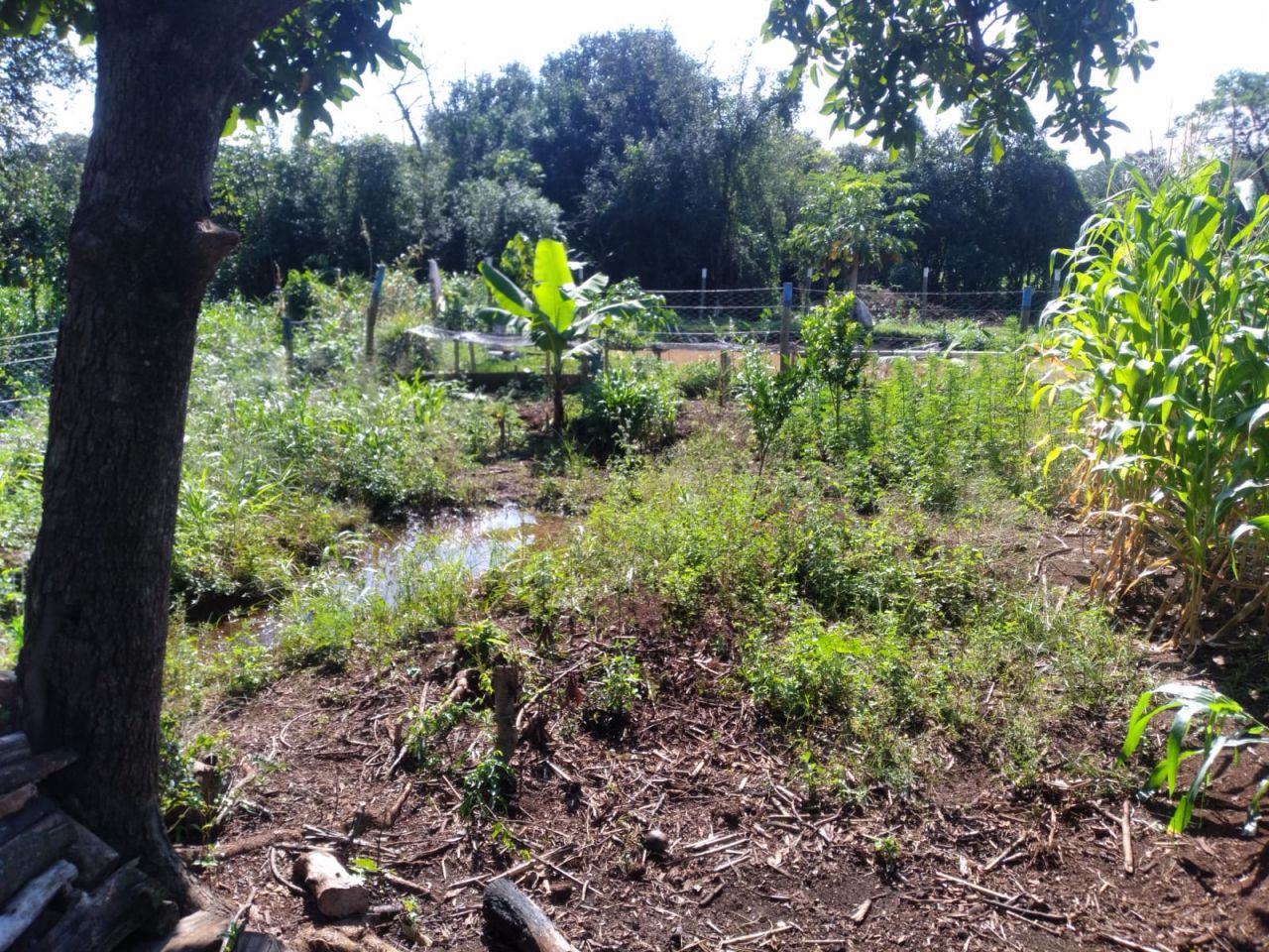 Chácara para venda no bairro Novo Parque Alvorada de Doutor Camargo - Foto 25