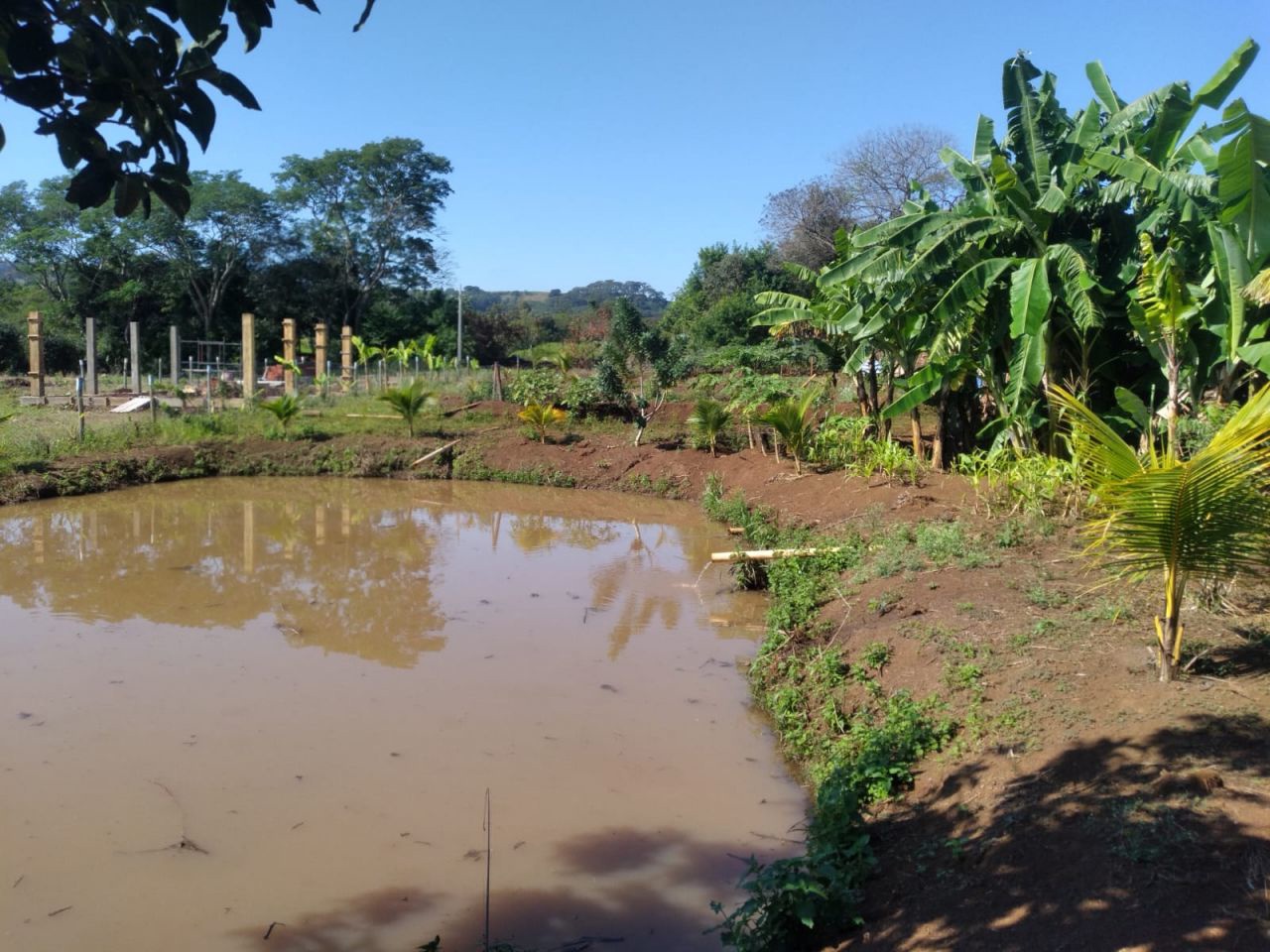 Chácara para venda no bairro Novo Parque Alvorada de Doutor Camargo - Foto 27