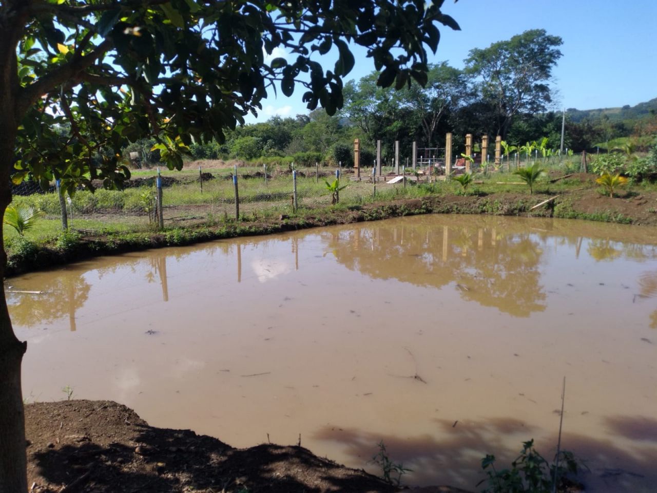 Chácara para venda no bairro Novo Parque Alvorada de Doutor Camargo - Foto 28