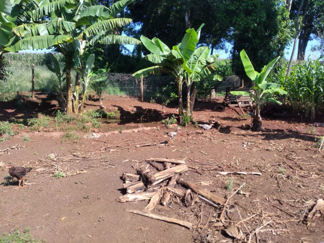 Chácara para venda no bairro Novo Parque Alvorada de Doutor Camargo - Foto 29